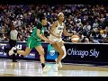 Chicago Sky vs Brazilian National Team