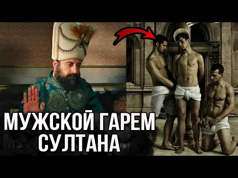 Видео: У султанов все еще есть гаремы?