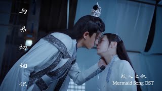 The Blue Whisper 与君初相识【MV OST】Mermaid Song 鲛人之歌《Zhou Shen》