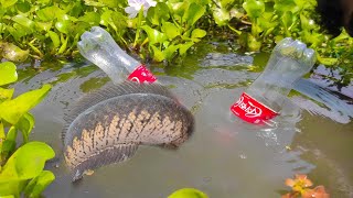 Best bottle fishing ❤️ Traditional Hook Fish Trap With Plastic Bottle ❤️ Best Hook Fishing Video.