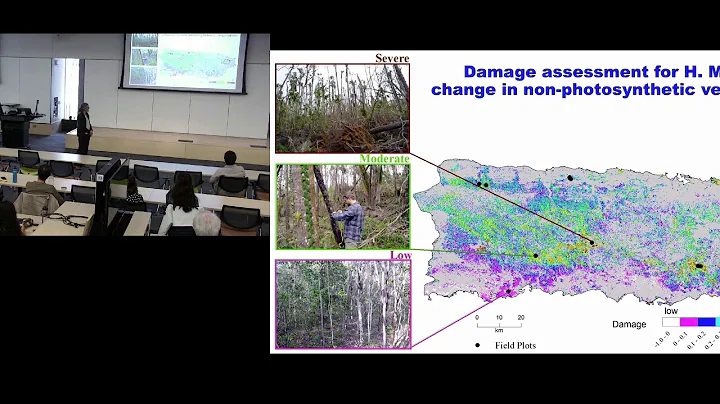 UM EEB Seminar: Mara Uriarte, Columbia University