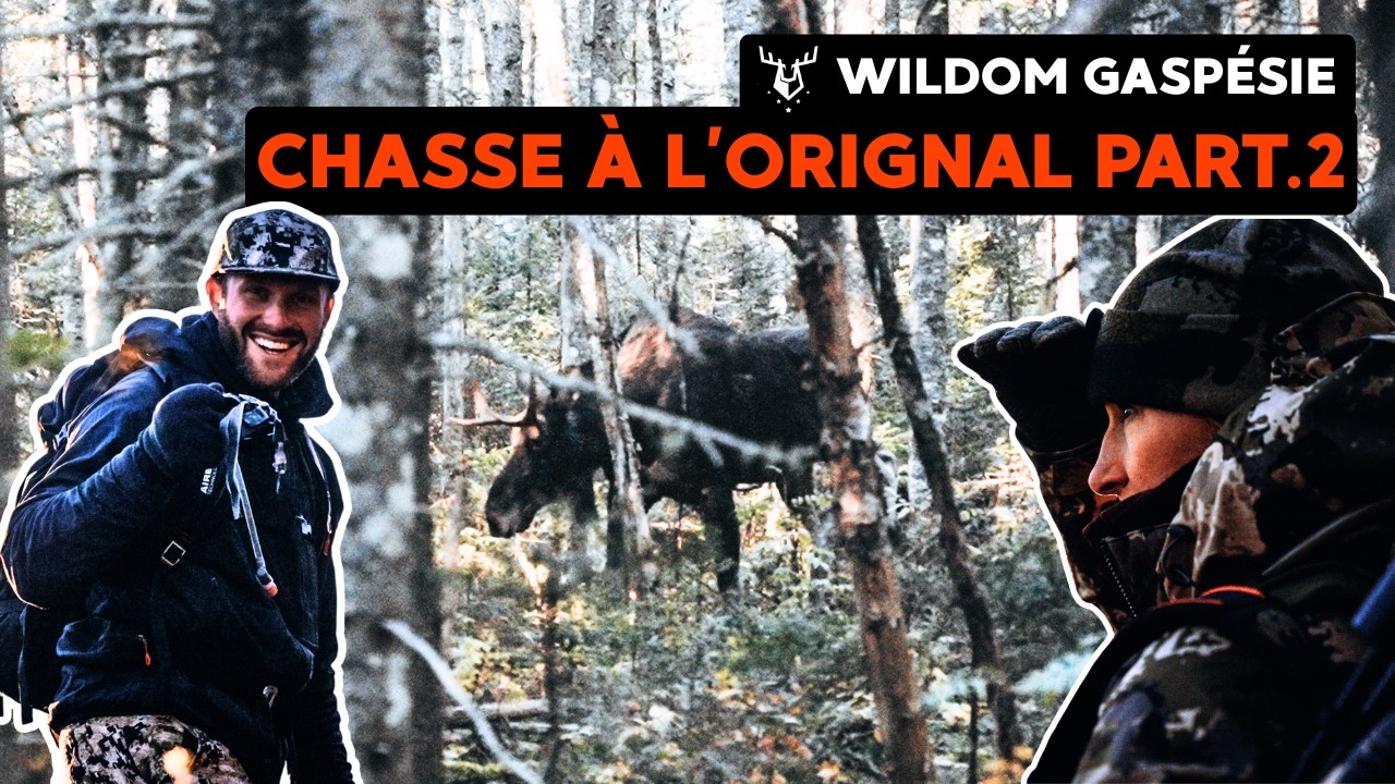 Chasse à l'orignal - DEUXIÈME BUCK du séjour - Wildom Gaspésie Part.2 | Roadhunt.tv - S.7 Ép.10