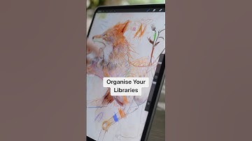 Organise Your Library in Procreate 5.4
