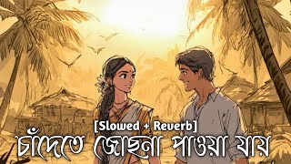 চদত জছন পওয যয - Lofi Mix Chande Te Joshna Paoya Jay Bappi Lahiri Romantic Songs