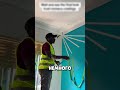 Он сказал «поверьте мне» и превратил стену в шедевр #shorts