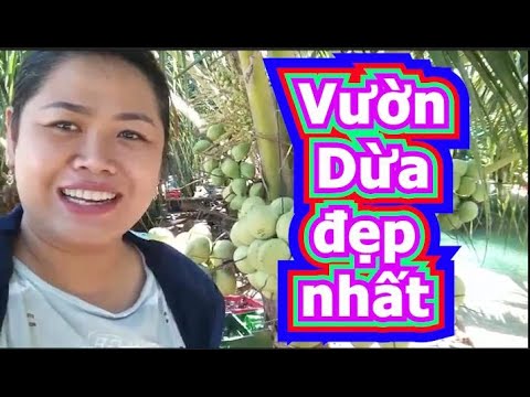 khu du lịch vườn dừa 2022 New Vườn Dừa Đẹp Nhất Hồng Ngự !