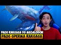 Paus sperma raksasa vs megalodon   feed and grow fish indonesia 17