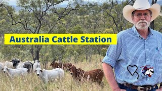 Australia Cattle Station | Regenerative Ranching