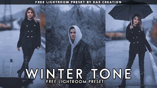 Winter Tone - Lightroom Presets DNG & XMP Free Download | Winter Preset Tutorial screenshot 5