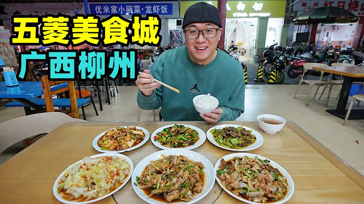广西柳州五菱美食城，13元小炒菜，2元炭烤肉串，阿星吃博白白切Wuling Food Street in Liuzhou, Guangxi - 天天要闻