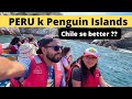 Penguin Islands of PERU &amp; Paracas National Park ! Much cheaper than Chile