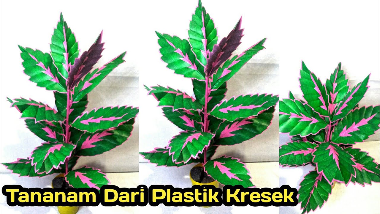 Tutorial Cara  Membuat  Tanaman  Hias  Dari  Plastik Kresek  