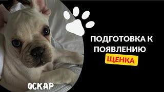 Как подготовиться к появлению щенка в доме? | Французский бульдог