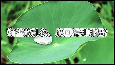 打坐散乱后，应回归到哪里?｜阿赞耀答问 2023-08-12 - 天天要闻