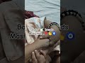 2026 baby hands#babyboy #baby #babyvlog #babyhands#kidsvideo #maa #family#boy#son#viral#youtube