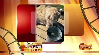 Art's Cameras Plus Picture of the Day for 12/11!