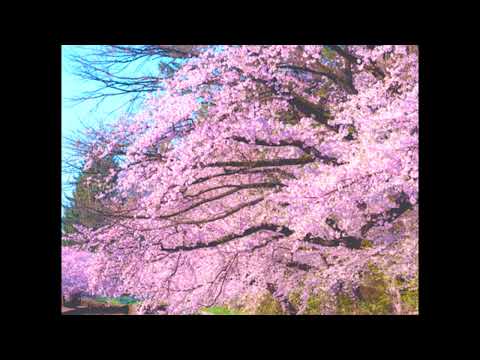 【Nightcore】千本桜