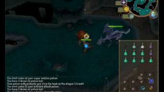 Runescape Slayer Guide - Mithril Dragons