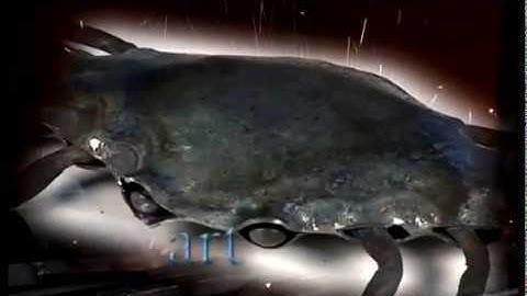 Ivan Bailey: Artistic Blacksmith