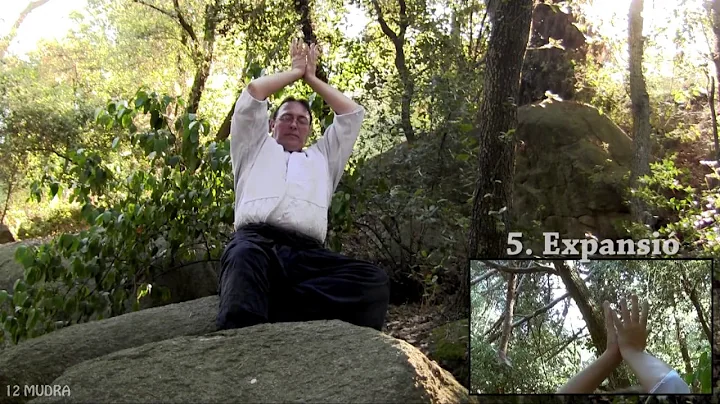 MUDRAS. 12 kuji in -  AIAM Aikido - Jordi Calvet B...