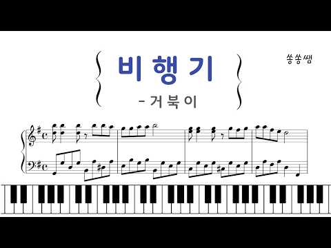 飛行機(Airplane) (1番) - 亀(Turtles)