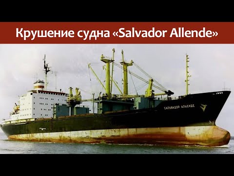 Video: Allende Salvador: elämäkerta, valokuvia, lainauksia. Kuka kaatoi Salvador Allenden?