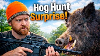 I Went Hog Hunting - And It Got Out Of Hand