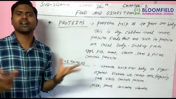 Science Class 4 Chapter 1 Food and Digestion
