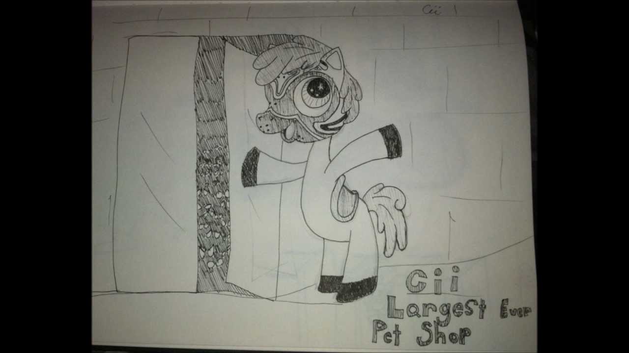 cii-largest-ever-pet-shop-youtube