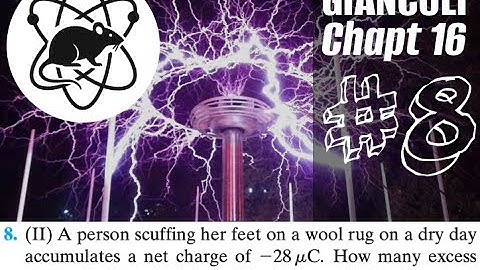 Problem #8 | Electromagnetism | Giancoli chapter 16