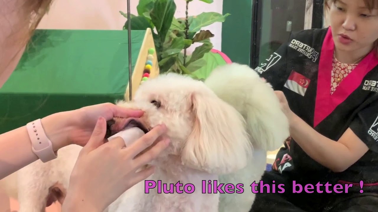 ARTERO Teeth Cleaning Wipes