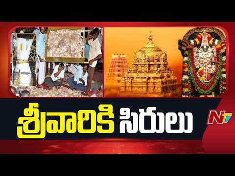 వడ్డీకాసుల వాడికి కాసుల వర్షం.. ఆదాయం ఎంతో తెలుసా? | TTD Hundi Collection 2025-26 | NTV Telugu - NTVTELUGU