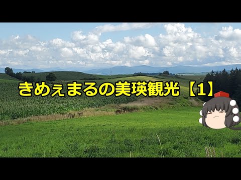 美瑛観光