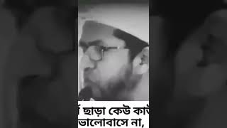 স্বার্থ ছাড়া কেউ কাউকে ভালোবাসে না islamicpost video reels