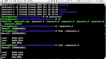 CS203, 2021 Fall: (13) Branch Prediction