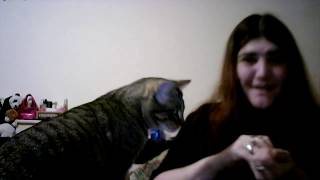 Atomicbalmbathnbody Saying Hey, With The Cats