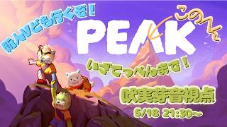 【PEAKコラボ】てっぺんとるぞぉぉ！！！吠実芽音視点【ケモV/配信】
