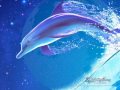 EL DELFIN AZUL