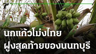 คุณชนะอยากเล่า : 