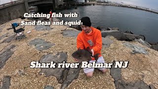 Details Fishing in Shark river off the jetty! Guide