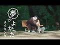 槇原敬之 - 夢でよかった【MVメイキング〜槇原編〜】