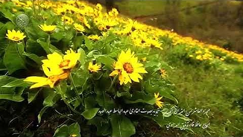 الجزء العاشر القرآن الكريم الشيخ عبد الباسط عبد الصمد