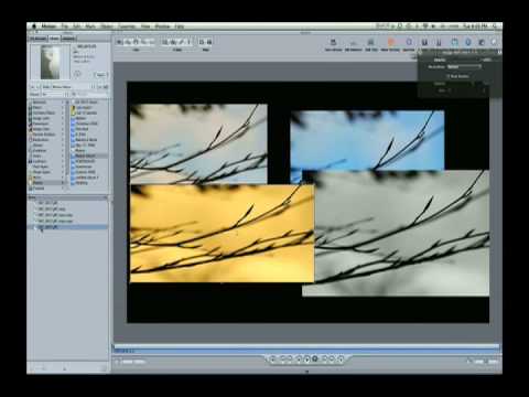 Motion Tutorial - Layers