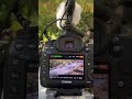 Raw 14bits