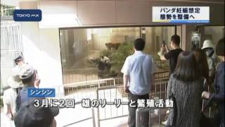 上野動物園　パンダの妊娠想定し態勢整備