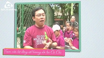 Le Ngoc Han Primary School Closing Ceremony Academic Year 2012 - 2013 Video Clip