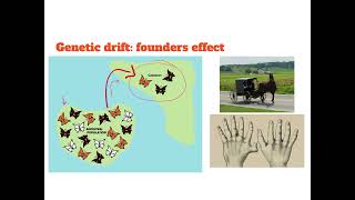 Non adaptive evolution