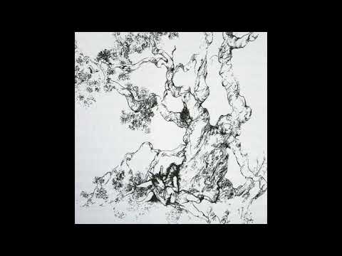 Jessica Pratt - Renaissance Man