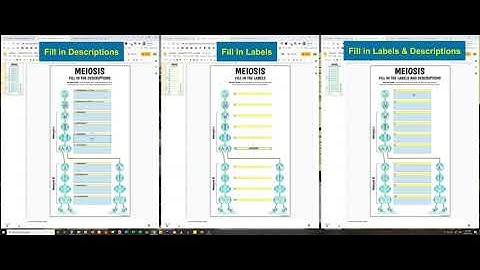 Meiosis - 8 Interactive Google Slides Activities | Distance Learning (by Tangstar Science)