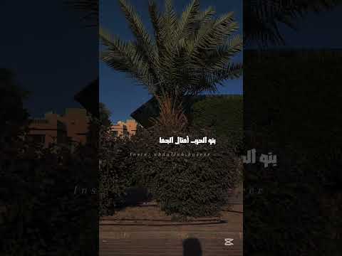 منال العلى بالمرهفات القواضب عبدالله العنزي أبى أصيل Abo Asil13